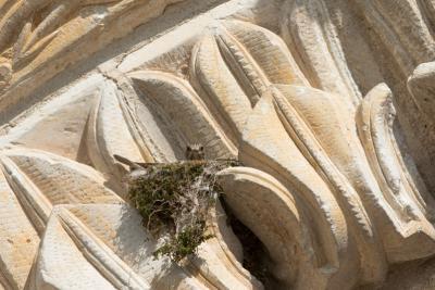 Une église romane entre Boischaut et Brenne - - Agrandir l'image 1 sur 5, fenêtre modale