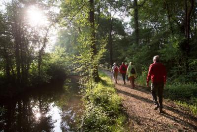Le long de la Claise à Mézières-en-Brenn - Agrandir l'image 4 sur 5, fenêtre modale