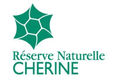 RNN Chérine - Enlarge image 5 of 5, modal window