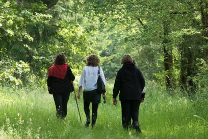 En forêt de Preuilly