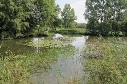 ENS - les prés du canal - Mézières-en-Brenne
