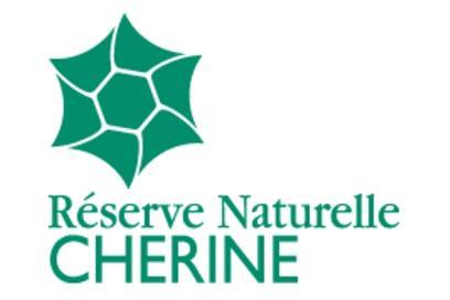 RNN Chérine